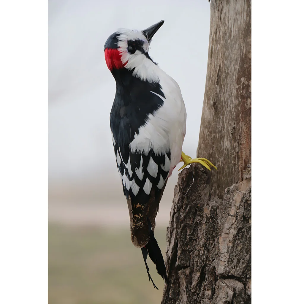 Artificial Fur Animal Woodpecker Bird Home Garden Figurine Decor 33x10x6cm