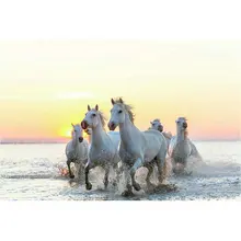 Морской пейзаж Алмазная вышивка фото на заказ, полная квадратная круглая алмазная живопись diy мозаика ручной работы 3d Вышивка крестом лошадь изображения