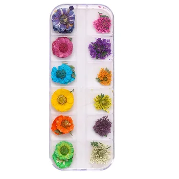 

Dropshipping Fashion Real Dried Flowers 3D Nail Art Decor Design DIY Tips Manicure 12 Colors Fashion SMJ