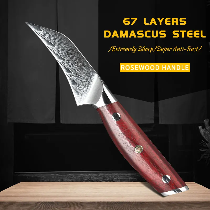 

YARENH 3 Inch Paring Knife - 67 Layers Damascus High Carbon Steel - Ultra Sharp Chef Fruit Peeling Tools - Rosewood Handle
