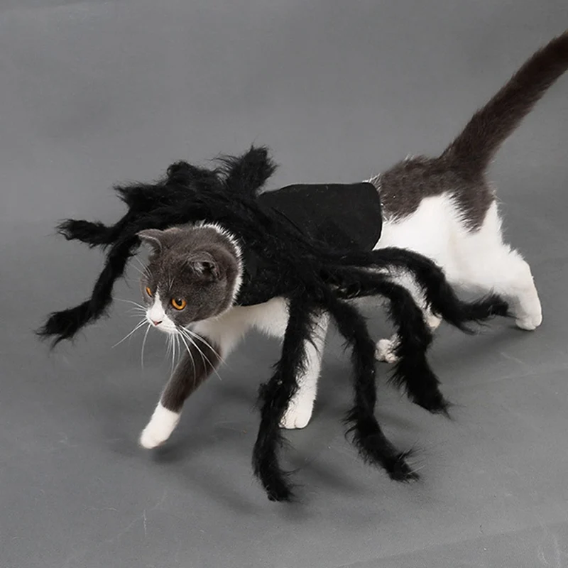 Хэллоуин, одежда для домашних животных, одежда для щенка, плюшевый костюм паука для косплея собак, кошек, вечерние, Забавный наряд, Имитация Черного паука