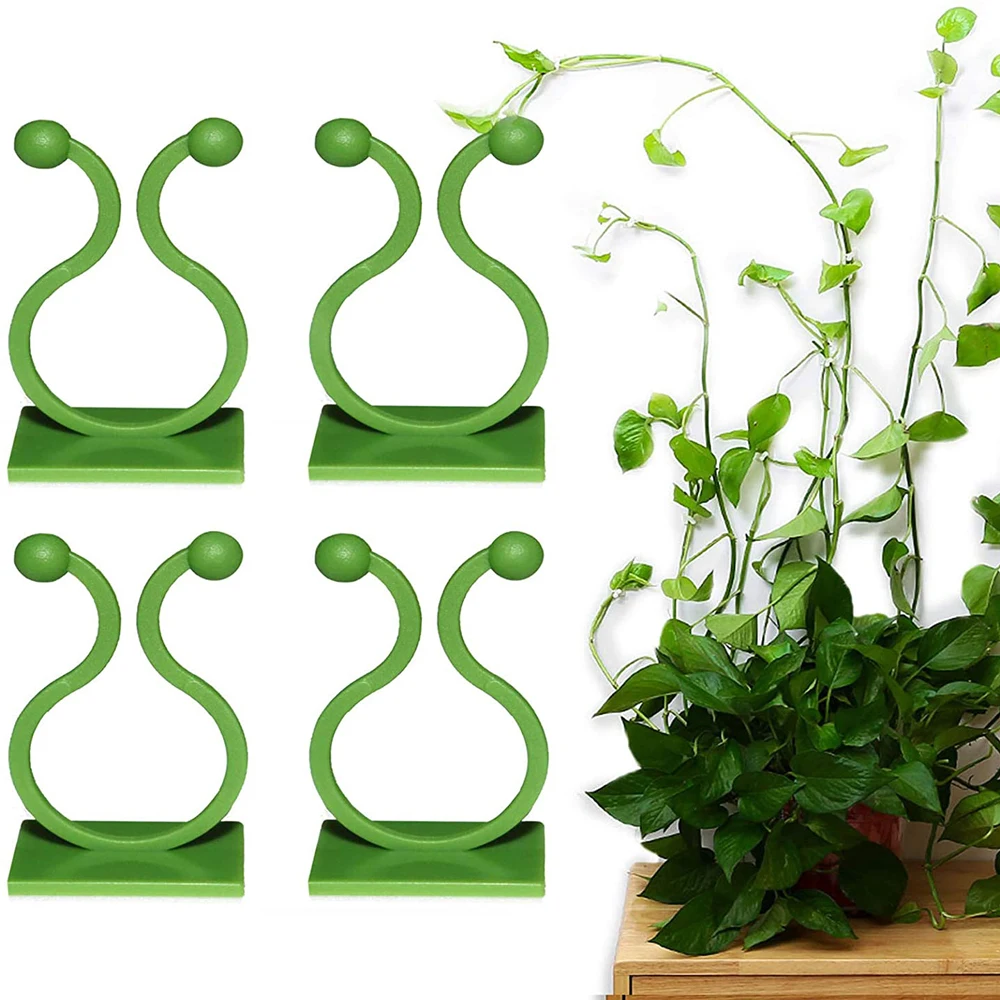 Plant Climbing Wall Self-Adhesive Hook Fixture Clips Invisible Rattan Clamp Fixture Wall Sticky Hook Plant Support 30/50PCS plant clips plastic plant clips plant adhesive hooks plant wall hooks