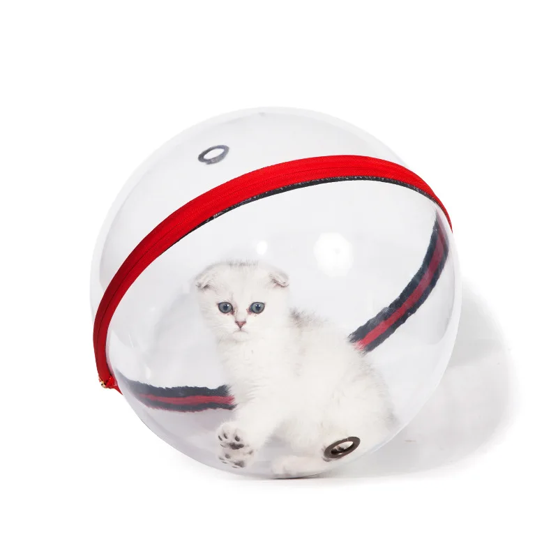 11954963045_342924097