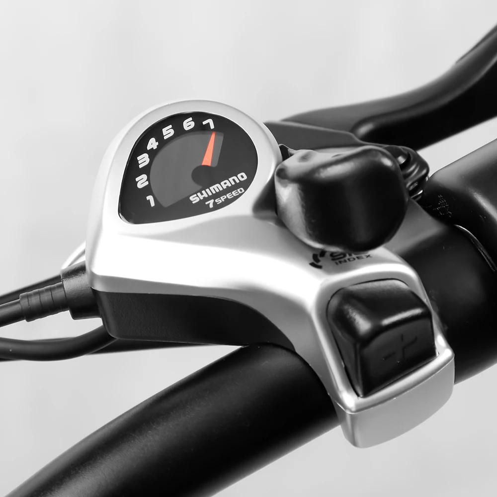 2021 New Arrivals Ebike Paselec Hot 