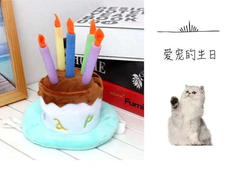 Ji zekee Halloween Carnival Holiday Bowler Hat Birthday Hat Pet Performance Supplies Birthday Girl Fruit Birthday Hat