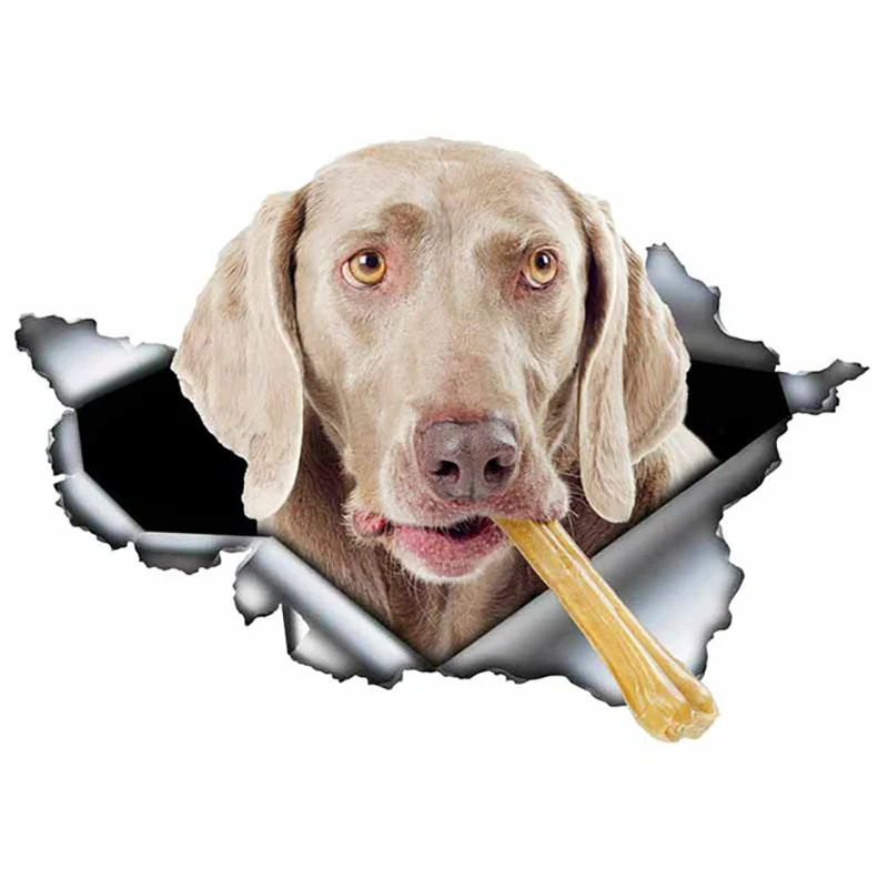

A-0129 Funny Animal Dog Chewing Bone Modeling Car Stickers PVC Fashion Auto Decorative Accessories Sunscreen Waterproof Decals