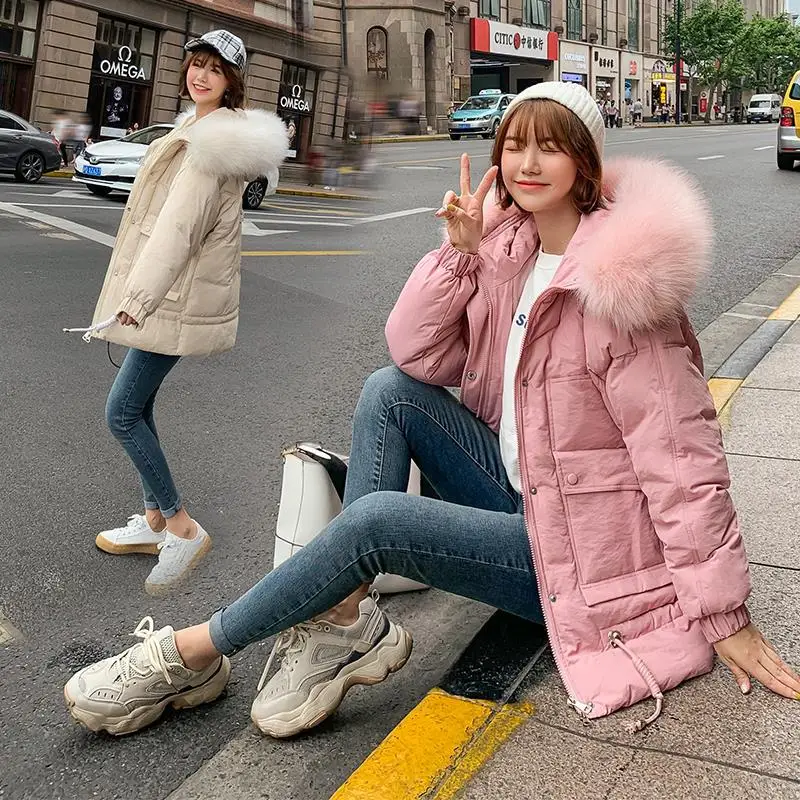 

High-End 2019 Winter Ladies' Elegant Korean-style WOMEN'S Wadded Jacket Long Sleeve Hooded Straight-Cut Cotton-padded Clothes