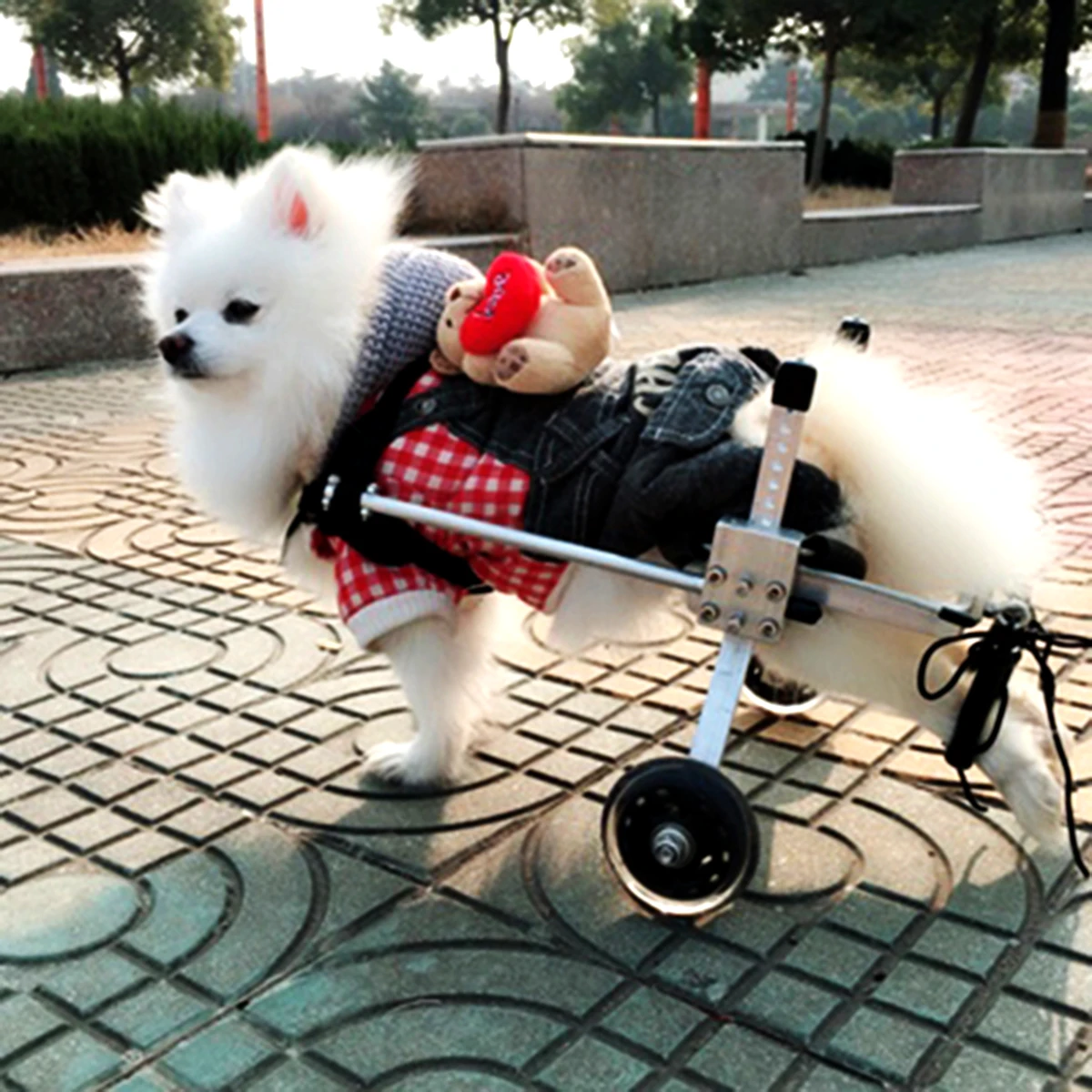 Инвалидная коляска для домашних животных, для инвалидов, для собак, пожилых собак, кошек, помощь при ходьбе, автомобиль для упражнений на заднюю ногу, для ухода за собакой/кошкой