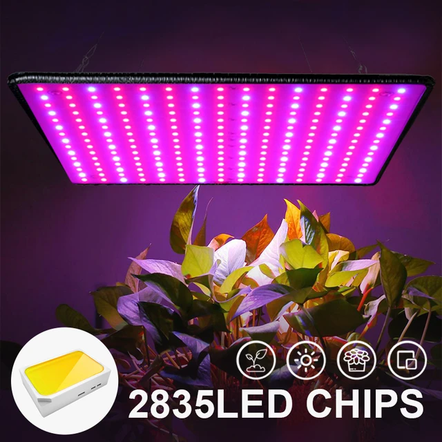 1000w Led Full Spectrum Grow Lights Lamp Indoor Phyto Lamp Grow Tent 225  Phytolamp For Plants With Hanging Wire 1pcs 2pcs 3pcs - Growing Lamps -  AliExpress