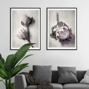 

Protea Nordic Flowers Poster Photography Canvas Painting Flowers Wall Art Nature Quote Wall Art Pictures For Living Room Modern