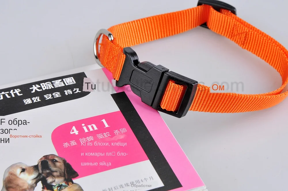 00009_1956973937_715629888 