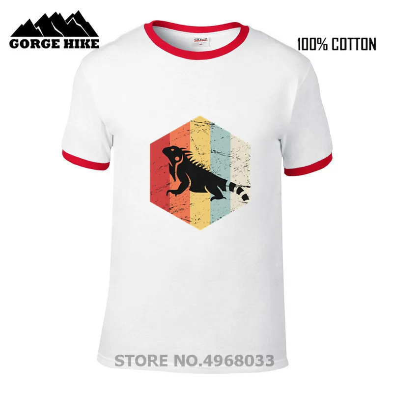 R6