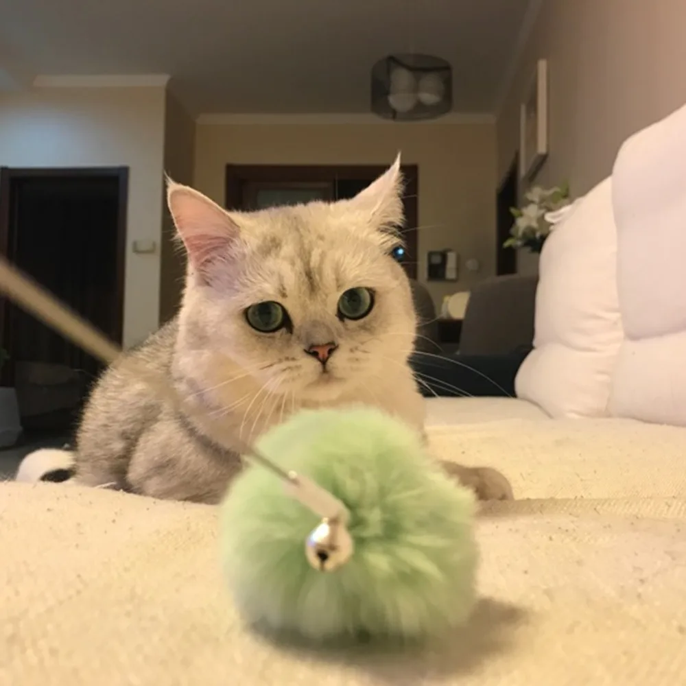 FE0009900-detail(12)