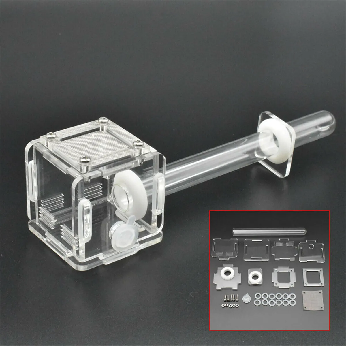 Minitubo de cristal para granja de hormigas, casa de insectos acrílica, con zona activa, novedad