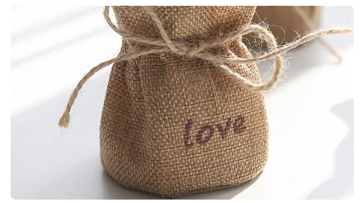 Nordic Wind Simulation Plant Cactus Potted Ornaments Prickly Pear Bonsai Furnishings Home Decorations Succulent Potted QW151 (8)