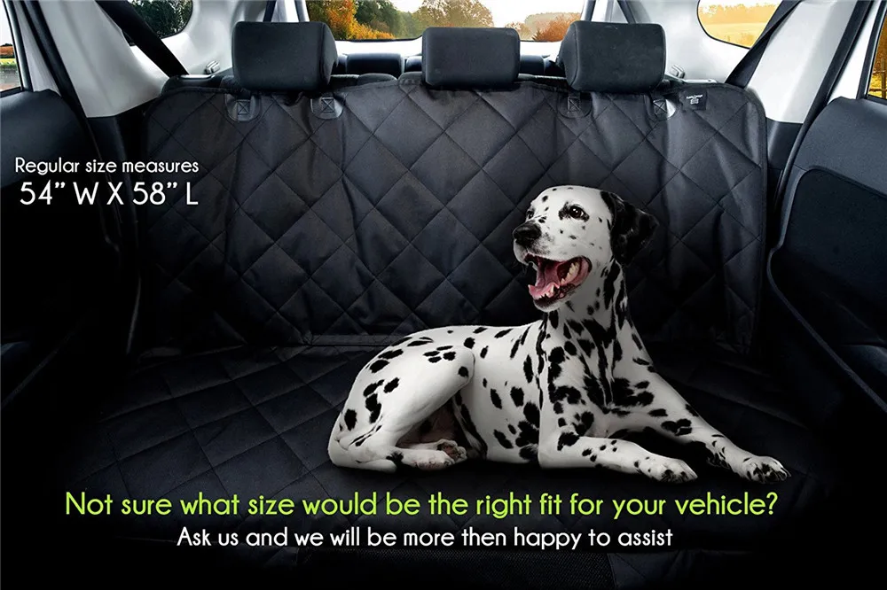 9651361276_260880224