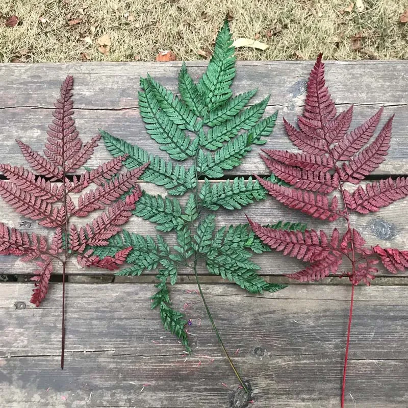 QQ图片20200210203244