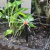 Garden Supplies