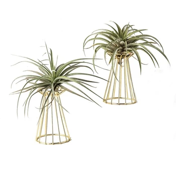 

New-2 Pack Air Plant Holder Tillandsia Base Tillandsia Indoor Tabletop Nine-Sided Tower-Shaped Geometric Air Flower Stand