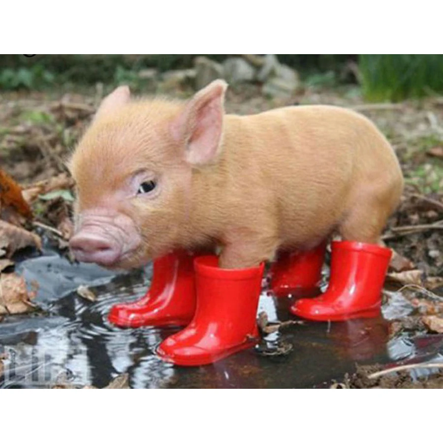 

5D DIY Diamond Painting Cross Stitch picture diamond Embroidery mosaic pig Red boots Full square Rhinestone needlework AA1424