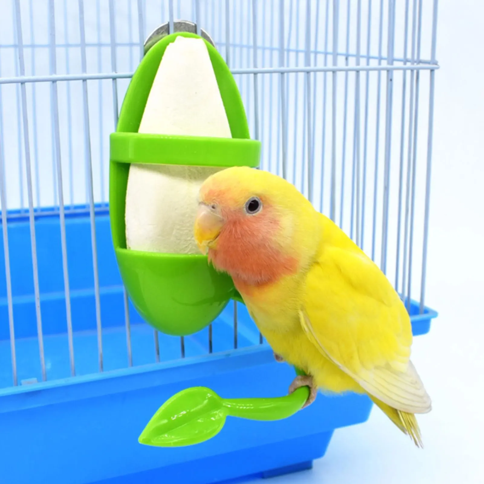 Alimentador de loro con estante de pie, contenedor de jibión colgante de plástico, suplemento de calcio, caja de alimentos, suministro de aves