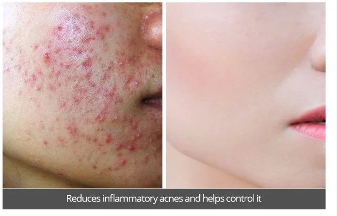 屏幕快照 2019-12-25 上午10.33.29