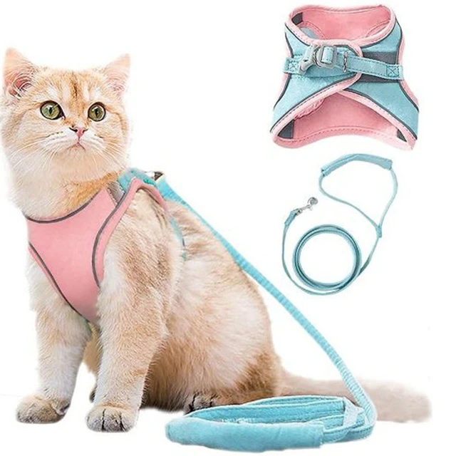 Max Breathable Dog Vest Harness Pet Outdoor Traction Rope For Cat