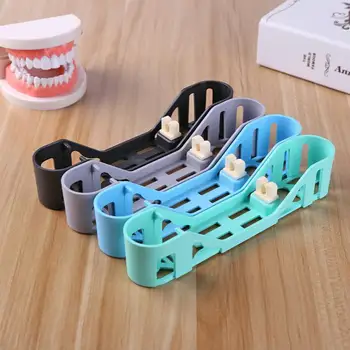 

Dental Sterilization Rack with Wide Scope of Application Simplicity Plastic Dentist Tools Disinfection Autoclave Tray Box