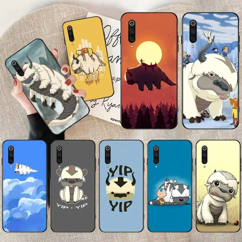 

HPCHCJHM Appa Yip Yip Avatar DIY Luxury Phone Case for Xiaomi Mi10 10Pro 10 lite Mi9 9SE 8SE Pocophone F1 Mi8 Lite