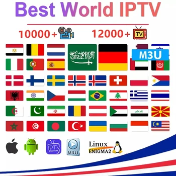 

World IPTV Europe france Spain Germany poland UK belgium Arabic Portugal Sweden xxx m3u Android Smart tv box no app included