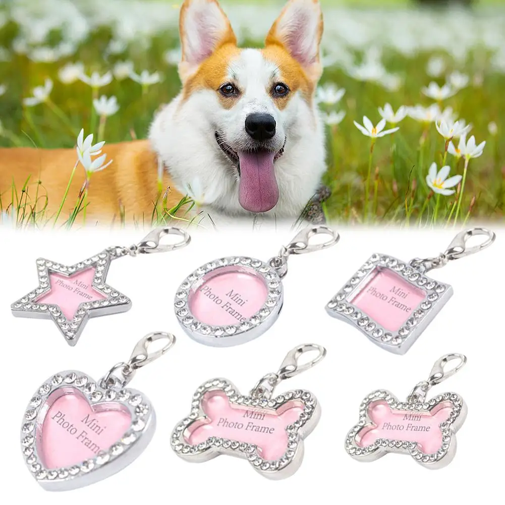 

Dog Tag Engraved Cat Puppy Pet ID Name Collar Tag Pendant Stainless Steel Dog Tag Pet Accessorie Pet Dog Pendant Tag Pet Product