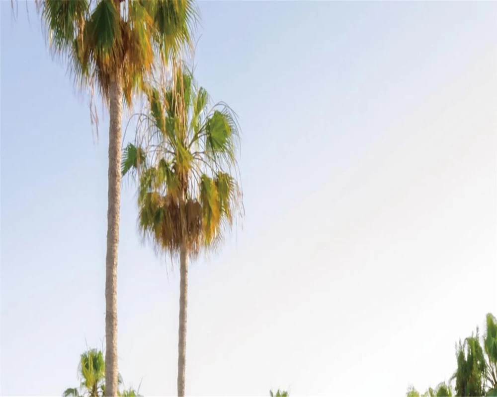 360截图20191105210939436