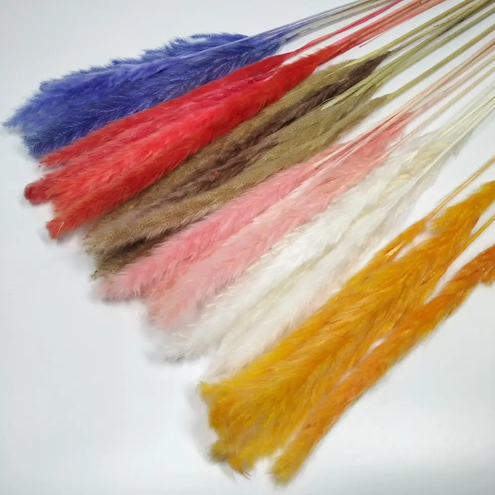 Пшеницы цветок уха натуральный памп Кролик хвост трава засушенные цветы на DIY Craft