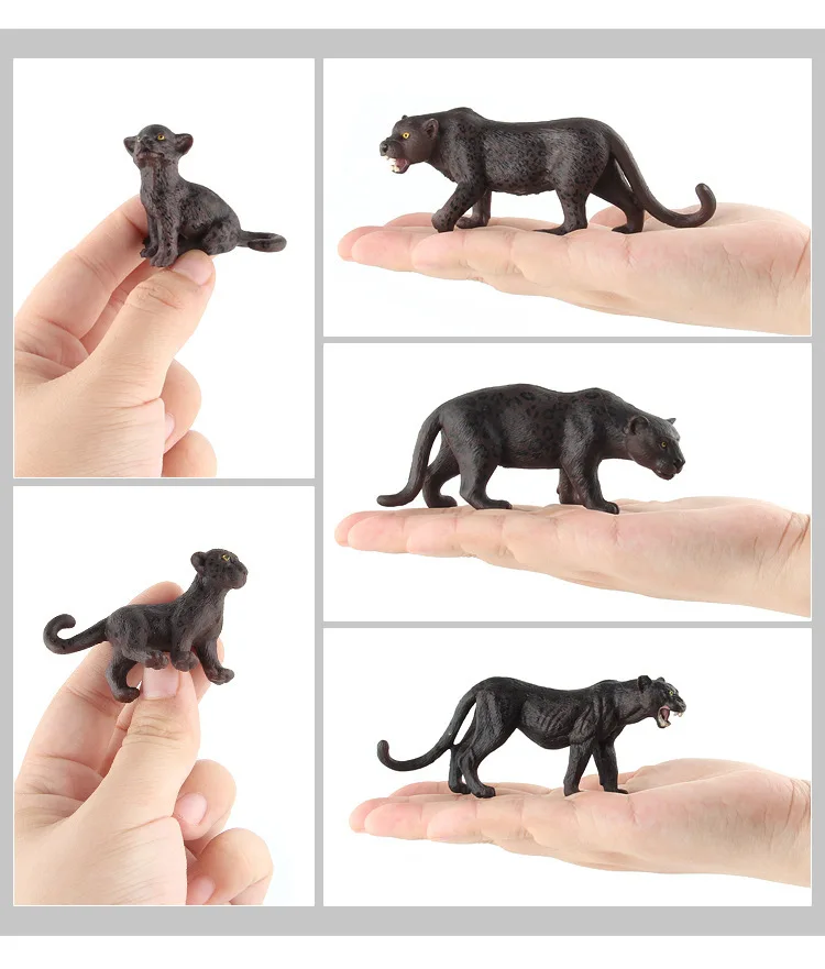 9068850109_1793268619