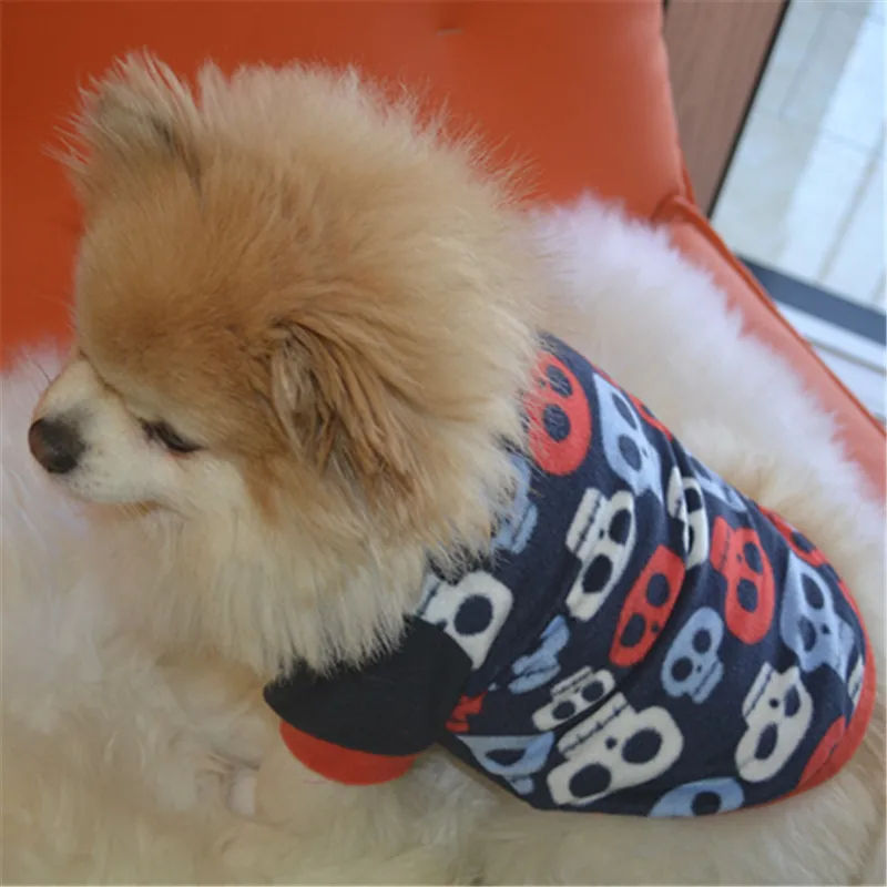 Unique Sweaters For Dogs - The Popular Clothes This Winter
