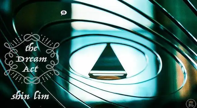 Dream Act от Shin Lim-Волшебные трюки | Игрушки и хобби