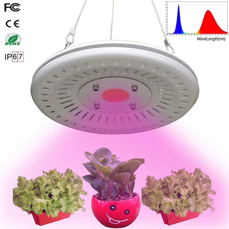 bdsm_20190923102728Fm4mu