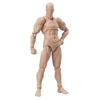 

PVC Action Figure Human Movable Body Joints Doll Male Nude Archetype (02)