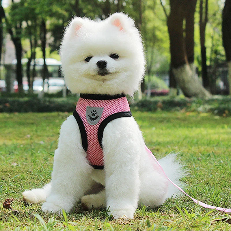 Dog Harness And Leash Set Mesh Pet Dog Accessories Puppy Dogs Cat Harness Vest Pet Supplies Chihuahua Yorkshire Terrier Pitbull pet harness leash set pet harness set pet leash set
