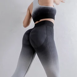 Hot Sale Yoga Pants Fitness Female Full Length Leggings Running Pants Comfortable Work Out Seemless Legings Running Tights Women