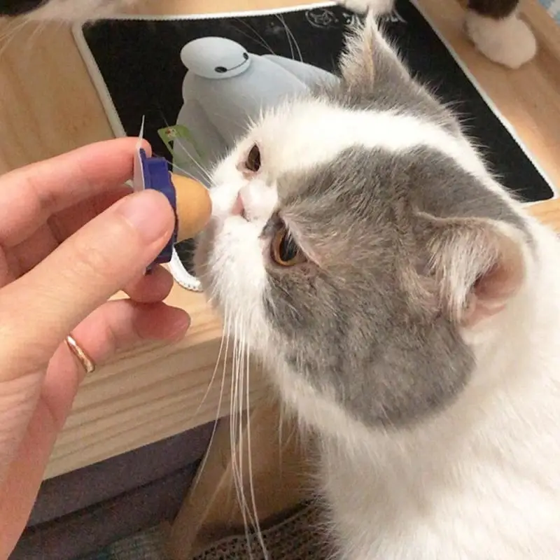 Healthy Nutrition Pet Snacks Cat Snacks Catnip Sugar Candy Licking Solid Nutrition Catnip Nutrition Help Digestion Energy Ball