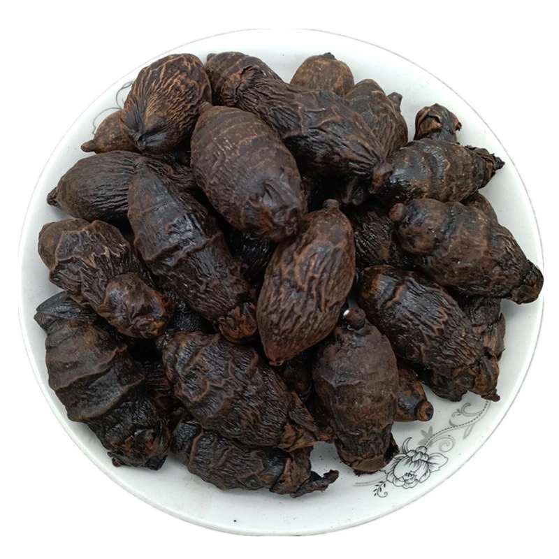 Areca Nut Dried Betel Nuts Spices and Seasonings Areca Nut