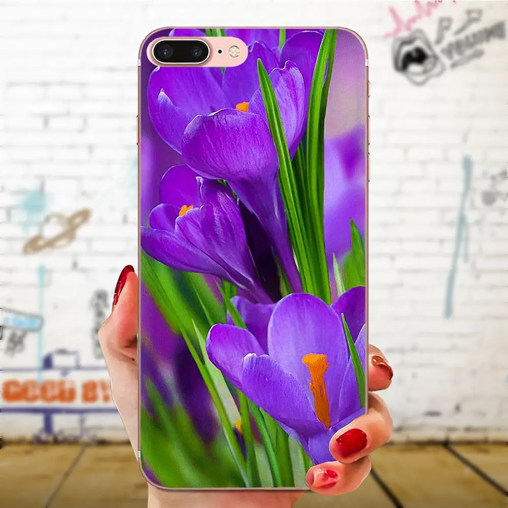 Crocus Flower iPhone 11 case Crocus Flower iPhone 11 case