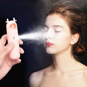 

USB Timing Air Humidifier Pink Bear Rabbit Portable Nano Clean Care Skin Spray Aroma Diffuser Facial Hydrating Spray Steamer