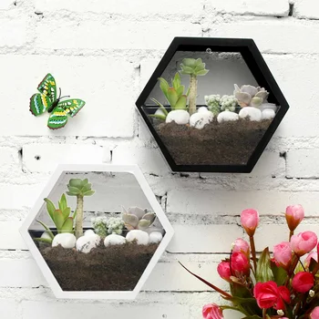 

Brief Handmade Acrylic Chlorophytum Flower Pot Hanging Wall Scindapsus Hydroponics Plant Vase Home Living Room Modern Decoration