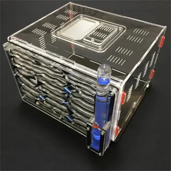 

villa 20*13*18.2cm big DIY moisture with feeding area ant nest ,ant farm acryl, insect ant nests villa pet mania for house ants