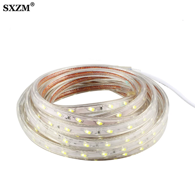 #cheap SMD5730 led strip 52leds Meter AC220V IP67 Waterproof outdoor Garden light with EU plug Brighter Than 3528 5050 Led Tape