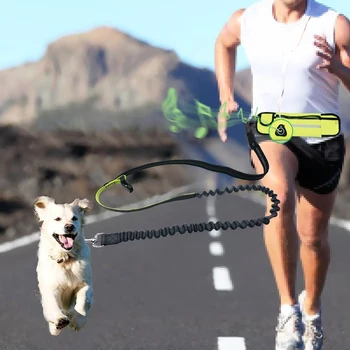 

Dogs Leash Running Elasticity Harnesses Pet Collars Adjustable Walk Dog Waist Rope Outdoor Security Training Dog Supplies Item
