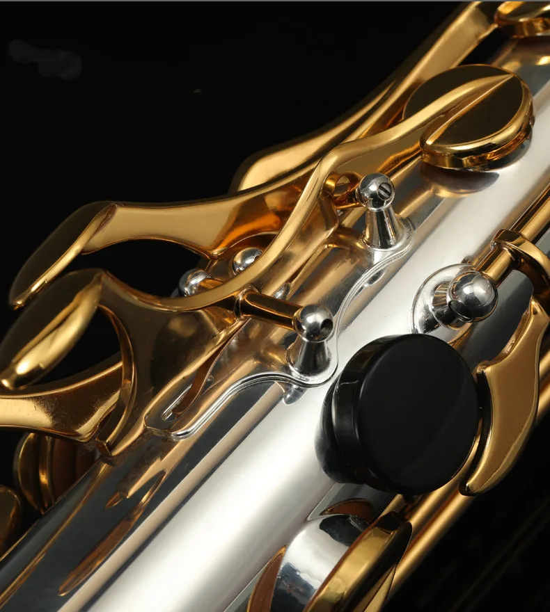 Aisiweier-JTS-1100SG Saxofone Tenor, Laca Dourada, Latão, Corpo Banhado a  Prata, Instrumento Sax Plano com Canvas Case, Marca B - AliExpress