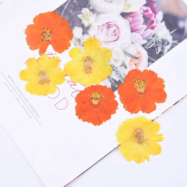

6 flowers Dried Flowers UV Resin Decorative Yellow Orange Natural Flower Stickers 3D Epoxy Resin Mold Filling Jewelry Making DIY